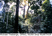 Costa Rica, Rainforest