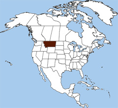 Montana